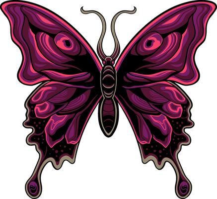 beautiful butterfly vector design for elements