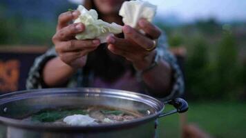 tailandês comida, nordeste comida, com marinado carne de porco e picante molho receitas.mulher coloca legumes para dentro uma ebulição Panela video