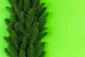 Top view of green fir tree branches on colorful background. New year holiday concept with empty space for your design photo