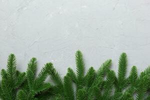 Christmas holiday background with copy space for advertising text. Fir branches on color background . Flat lay, top view photo