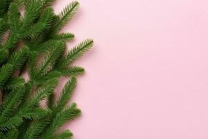 Christmas holiday background with copy space for advertising text. Fir branches on color background . Flat lay, top view photo