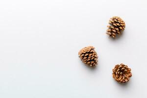 Christmas pine cones on colored paper border composition. Christmas, New Year, winter concept. Flat lay, top view, copy space photo