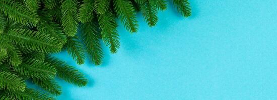 Top view Banner of colorful background made of green fir tree branches. New year holiday concept with copy space photo
