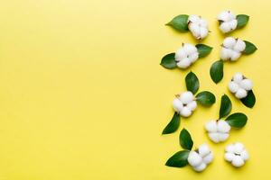 Autumn Floral Flat lay background composition. Dried white fluffy cotton flower branchwith green leaf top view on colored table with copy space photo
