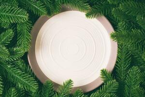 Top view of white plate surrounded with fir tree branches. Christmas dinner concept with copy space photo