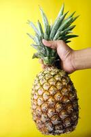 hand holding pineapple on yellow background photo