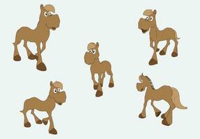 Foal standing various angles vector