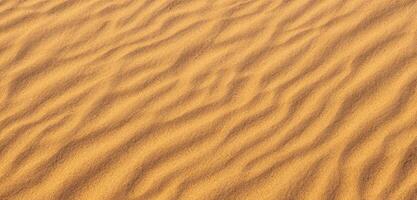 Sand background Panorama of the desert Wrinkles of sand blown by the wind photo