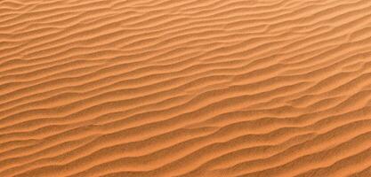 Sand background Panorama of the desert Wrinkles of sand blown by the wind photo