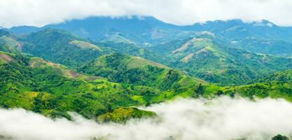 Panorama of high mountain ranges Filled with green trees nature and complex mountain ranges photo