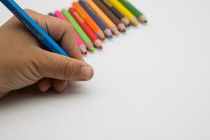 pack of 12  mini colored bunch wood  pencils isolated on a white background with  copy space photo