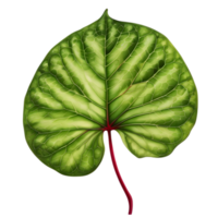 Beautiful leaf painting. AI-Generated. png