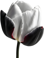 A painting of colorful tulips. AI-Generated. png