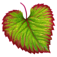 Beautiful leaf painting. AI-Generated. png