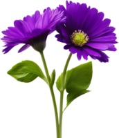 ein Gemälde von lila Blumen mit Blätter. KI-generiert. png