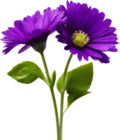 A painting of purple flowers with leaves. AI-Generated. png