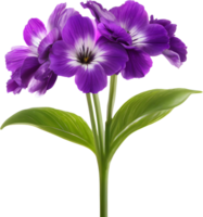 une La peinture de violet fleurs avec feuilles. ai-généré. png