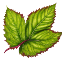 Beautiful leaf painting. AI-Generated. png