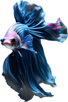 A painting of a Betta fish. AI-Generated. png