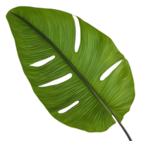 Beautiful leaf painting. AI-Generated. png