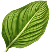 Beautiful leaf painting. AI-Generated. png