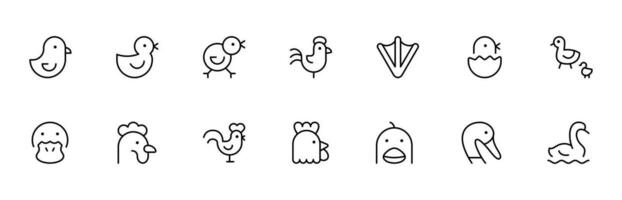 chicken icon. Duck icon. flat vector and illustration, graphic, editable stroke. Suitable for website design, logo, app, template, and ui ux.