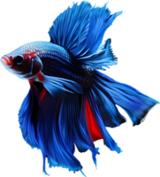 A painting of a Betta fish. AI-Generated. png