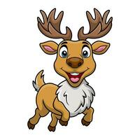 Cute deer cartoon on white background vector