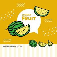 Healthy food concept. Arrangement of various watermelon forms banner. vector