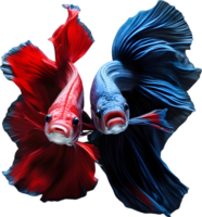 une La peinture de une betta poisson. ai-généré. png