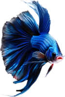 A painting of a Betta fish. AI-Generated. png