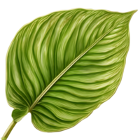 Beautiful leaf painting. AI-Generated. png