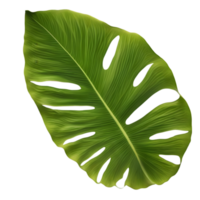 Beautiful leaf painting. AI-Generated. png