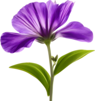 A painting of purple flowers with leaves. AI-Generated. png