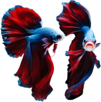 A painting of a Betta fish. AI-Generated. png