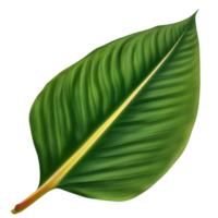 Beautiful leaf painting. AI-Generated. png