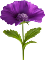 une La peinture de violet fleurs avec feuilles. ai-généré. png