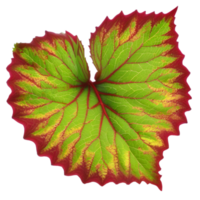 Beautiful leaf painting. AI-Generated. png