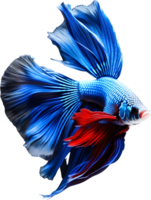 A painting of a Betta fish. AI-Generated. png