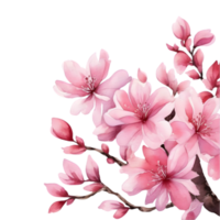 clipart di acquerello dipinti di colorato primavera fiori, Usato per decorazione. ai-generato png