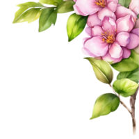 Clipart of watercolor paintings of colorful spring flowers, used for decoration. AI-Generated png