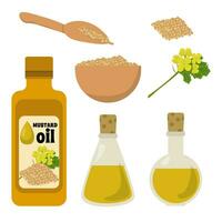 Set of mustard oil in a bottle and other containers, flowers and grains of fragrant spice vector