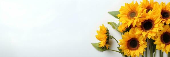 sunflowers on white background Generative AI photo