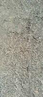 Photography of soil texture with uneven cement. photo