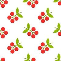 Branch of Fresh coffee bean seamless pattern on white background. vector