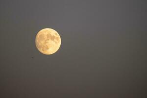 The moon phases photo