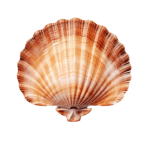 Scallop shell isolated on transparent background. PNG file, cut out. AI Generated