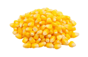 Corn seeds isolated on transparent background. PNG file, cut out. AI Generated