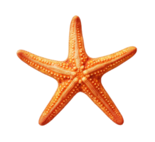 Starfish isolated on transparent background. PNG file, cut out. AI Generated