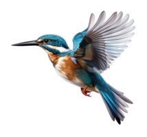 Flying kingfisher isolated on transparent background. PNG file, cut out. AI Generated